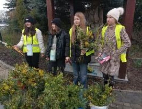 Wolontariusze z SP Warszowice zorganizowali akcję charytatywną